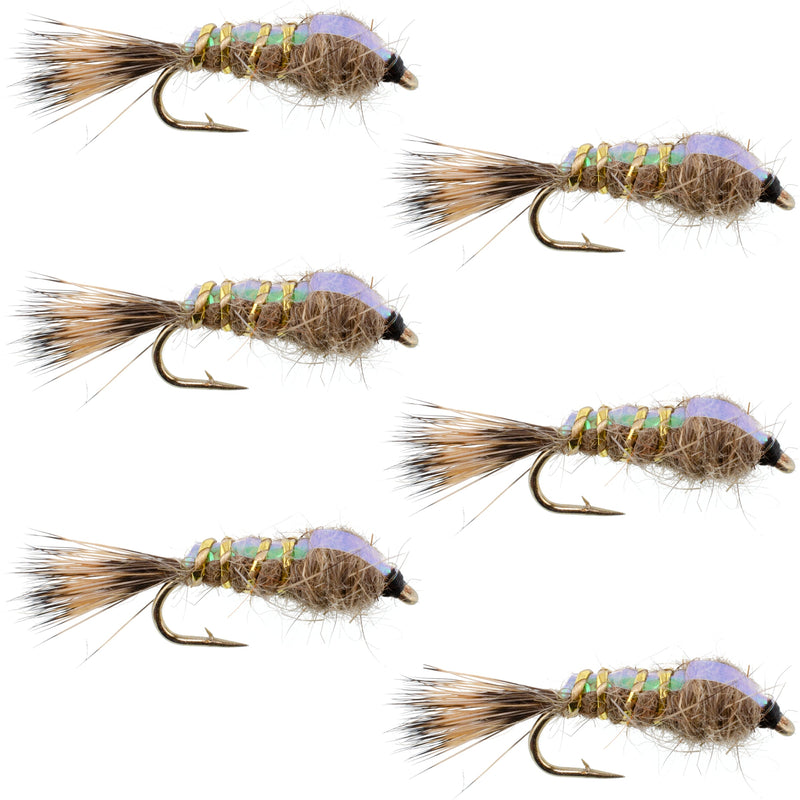 Set of six Classic Weighted Flashback Gold Ribbed Hares Ear Nymph trout wet flies, size 14, from The Fly Fishing Place.