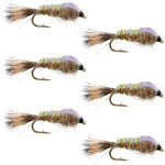 Set of 6 Classic Weighted Flashback Hares Ear Nymph trout wet flies in size 18 for fly fishing by The Fly Fishing Place.