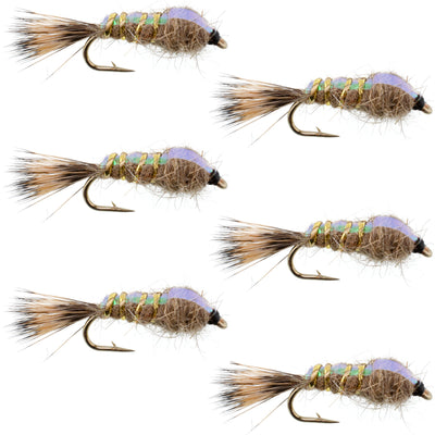 Classic Weighted Flashback Gold Ribbed Hares Ear Nymph - Set of 6 Flies - Size 16