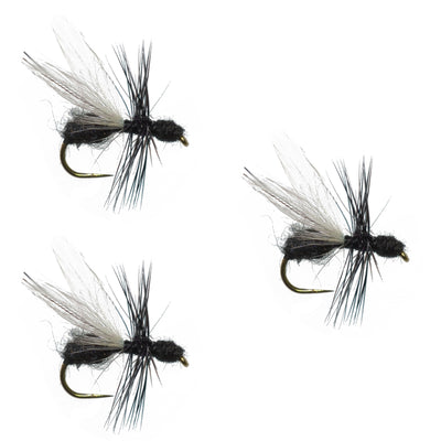 Set of 3 black fur flying ant trout dry flies with size 12 hooks for fly fishing, designed to mimic terrestrial insects.