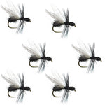 Set of six barbless black fur flying ant dry flies for trout fishing, size 14, by The Fly Fishing Place.