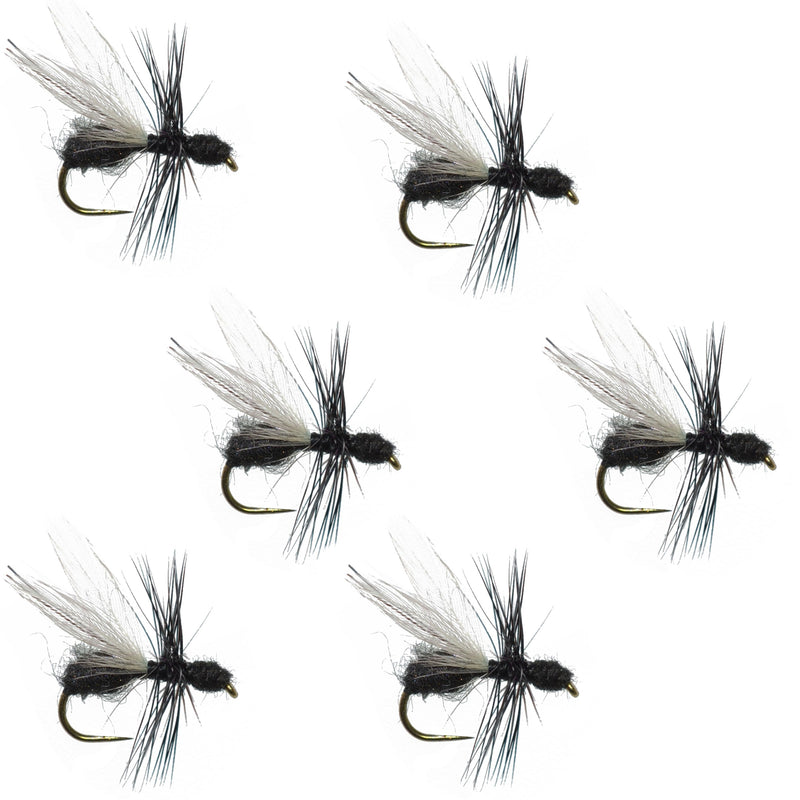 Set of 6 black fur flying ant trout dry flies with barbless hooks, size 16, designed for fly fishing for terrestrial trout.