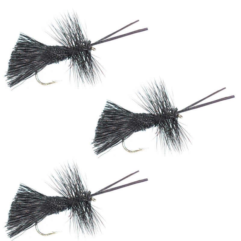 Three Goddard Caddis Black Dry Flies set, size 14 hooks, for trout fishing, designed by The Fly Fishing Place.