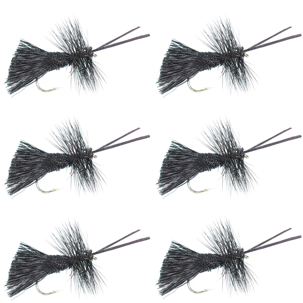 Six Goddard Caddis Black Dry Flies for trout fishing, size 12 hooks, crafted for effective dry fly fishing in freshwater.