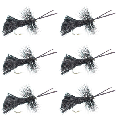 Set of six Goddard Caddis Black Dry Flies for trout fishing, size 14 hooks, from The Fly Fishing Place.