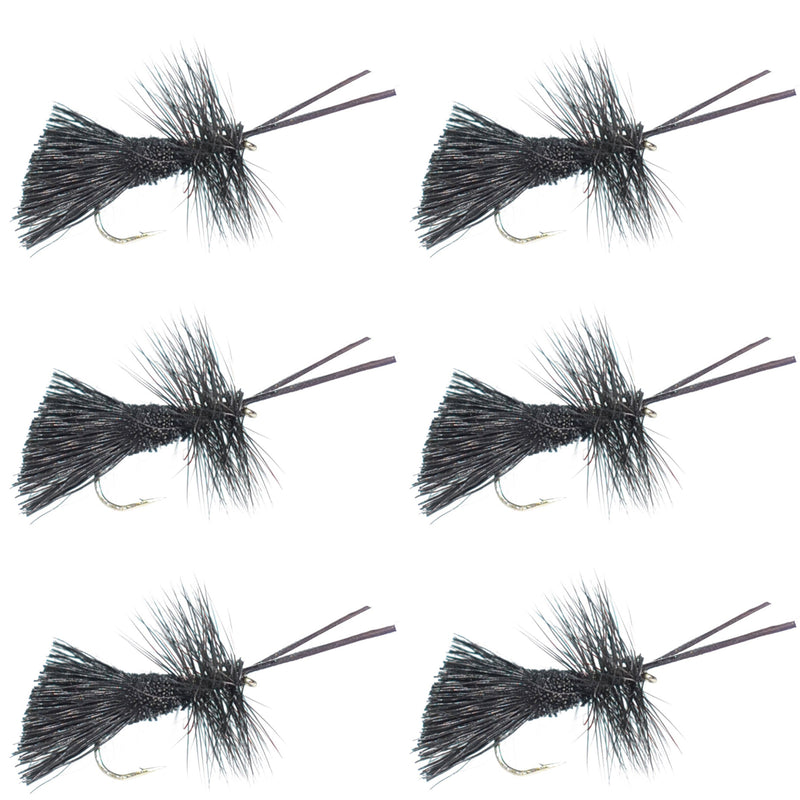 Set of six Goddard Caddis Black Dry Flies for trout fishing, size 14 hooks, from The Fly Fishing Place.