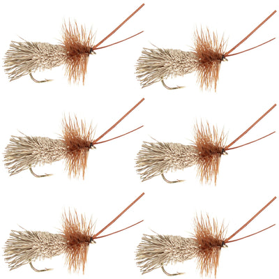 Set of six Goddard Caddis dry flies for trout fishing, size 16, featuring natural-colored dry fly hooks by The Fly Fishing Place.