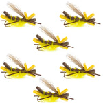 Set of 6 Godzilla Yellow Hopper trout dry flies with high visibility grasshopper and stonefly patterns, size 10 hooks.
