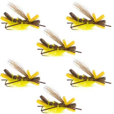 Set of 6 Godzilla Yellow Hopper trout dry flies with high visibility grasshopper and stonefly patterns, size 10 hooks.