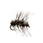 Six Griffiths Gnat midge trout dry flies in size 20, designed for fly fishing, showing detailed soft hackle and realistic pattern.