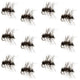 Barbless Griffiths Gnat Midge Trout Dry Fly Fishing Flies - 1 Dozen Flies Size 20