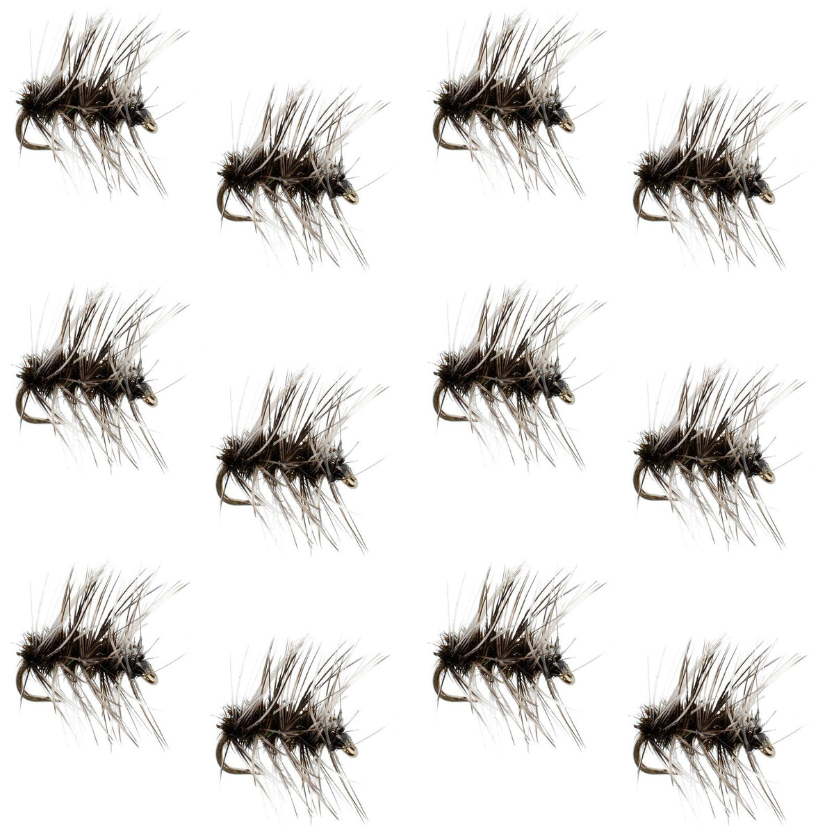 Set of 12 barbless Griffiths Gnat dry flies for trout fishing, size 18, with detailed insect wing and body features.