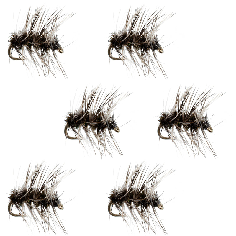 Set of 6 Griffiths Gnat trout dry flies by The Fly Fishing Place, size 20, with realistic insect patterns for fly fishing.
