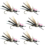 Set of six Gypsy King Hopper foam dry flies in pink, size 10 hooks, designed for trout fishing by The Fly Fishing Place.
