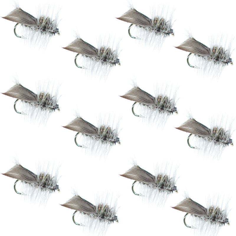Set of 12 Hemingway Caddis Dry Flies for trout fishing, size 14, with realistic fly patterns and detailed hooks.