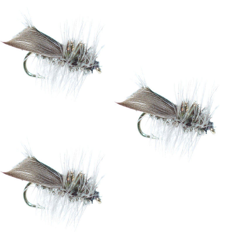 Set of three Hemingway Caddis Dry Flies, size 14, trout dry flies for fly fishing, featuring realistic caddis fly designs.