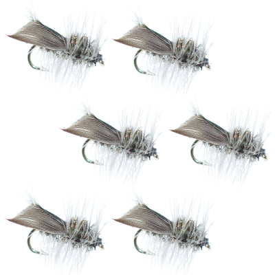 Set of six Hemingway Caddis Dry Flies for trout fishing, size 12 hooks, with realistic insect details and natural coloring.