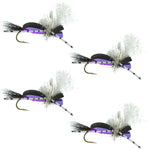 Set of four Hippie Stomper black and purple foam grasshopper dry flies for fly fishing, size 10, by The Fly Fishing Place.