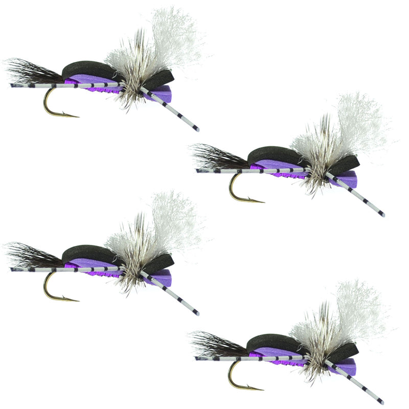 Set of four Hippie Stomper black and purple foam grasshopper dry flies for fly fishing, size 10, by The Fly Fishing Place.