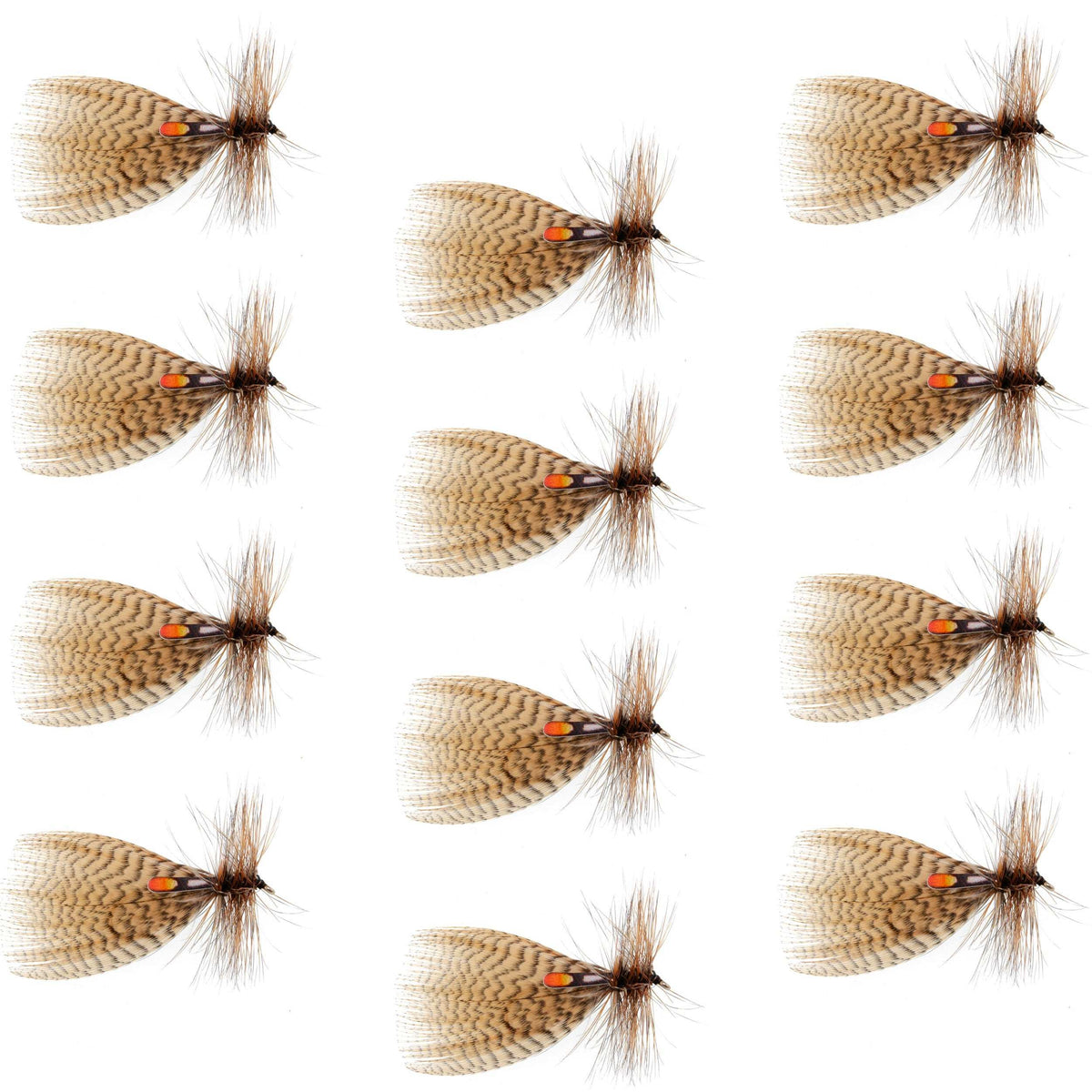 Set of 12 Hornberg Special trout dry flies with size 6 hooks, natural pattern for fly fishing by The Fly Fishing Place