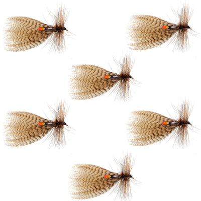 Set of six Hornberg Special trout wet flies, size 6 hook, natural dry fly pattern for fly fishing by The Fly Fishing Place