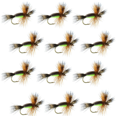 Chartreuse Humpy Classic Dry Fly for trout fishing, set of 12 flies with size 16 hooks, by The Fly Fishing Place.
