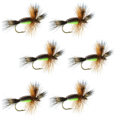 Set of six Chartreuse Humpy Classic Dry Flies for trout fishing, with size 10 hooks, by The Fly Fishing Place.