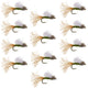 Olive Iris Caddis Emerger Caddis  Trout Dry Fly - 12 Flies Hook Size 16