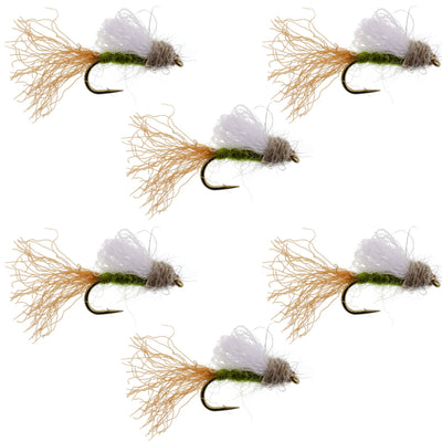 Set of six Olive Iris Caddis Emerger flies for trout fishing, size 14 hooks, designed by The Fly Fishing Place.