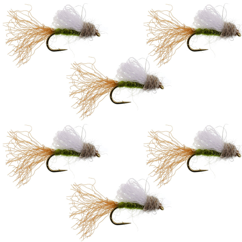 Set of six Olive Iris Caddis Emerger flies for trout fishing, size 14 hooks, designed by The Fly Fishing Place.