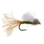 Olive Iris Caddis Emerger dry fly for trout fishing, size 14, with detailed hook and fly pattern on a natural background.
