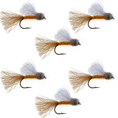 Set of six orange Iris Caddis Emerger dry flies for trout fishing, size 8, featuring realistic insect details by The Fly Fishing Place.