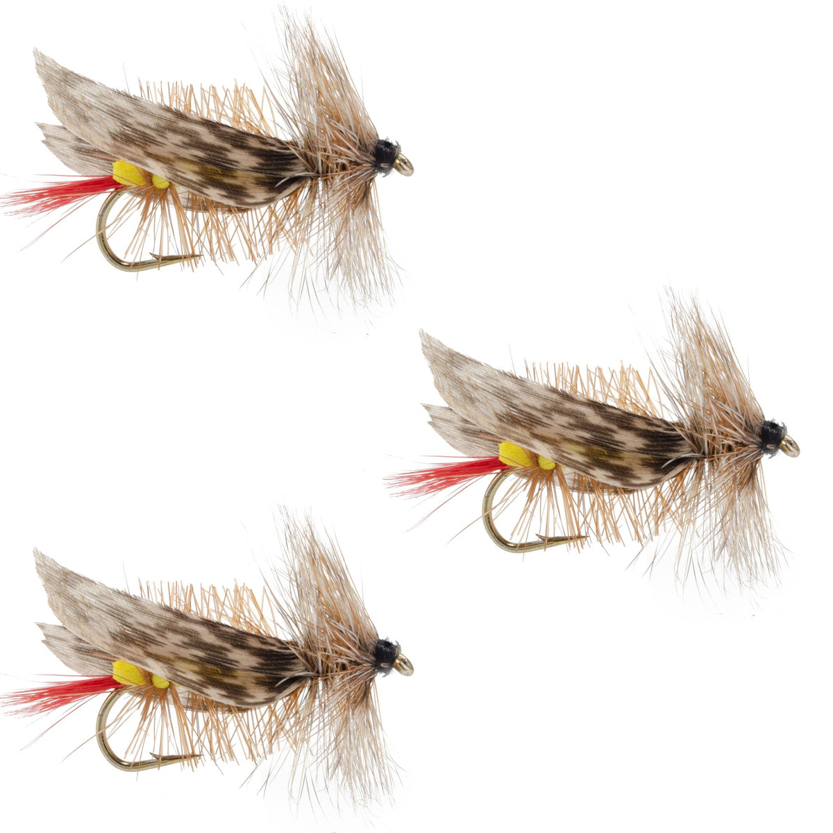 Set of three Joe's Hopper yellow foam grasshopper dry flies for trout fishing, size 8 hooks, by The Fly Fishing Place.