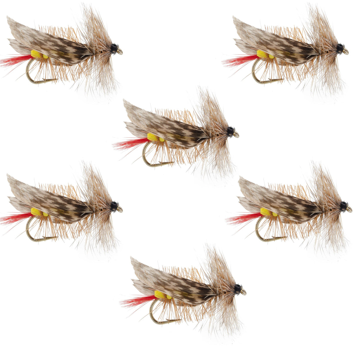 Set of six Joe's Hopper yellow foam grasshopper dry flies for trout fishing, hook size 10, by The Fly Fishing Place