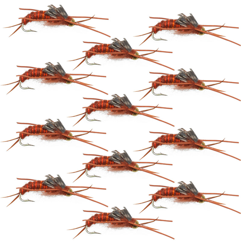 Set of 12 Kaufmann's Brown Stonefly wet flies with rubber legs, trout fishing flies on size 6 hooks, by The Fly Fishing Place.