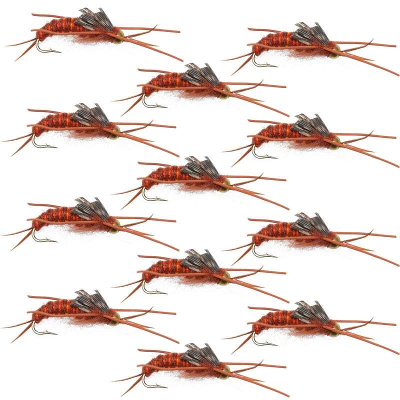 Set of 12 Kaufmann's Brown Stonefly Wet Flies with rubber legs, size 8, for trout fishing, by The Fly Fishing Place