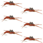Set of six Kaufmann's brown stonefly wet flies with rubber legs, size 12, for trout fishing by The Fly Fishing Place.