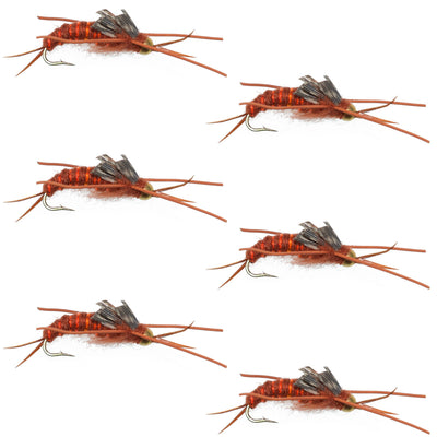 Set of six Kaufmann's Brown Stonefly Wet Flies with rubber legs, size 6, for trout fishing, featuring tungsten bead nymphs.