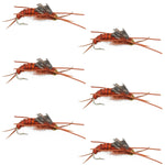 Set of six Kaufmann's brown stonefly wet flies with rubber legs, size 10 hooks for trout fly fishing.