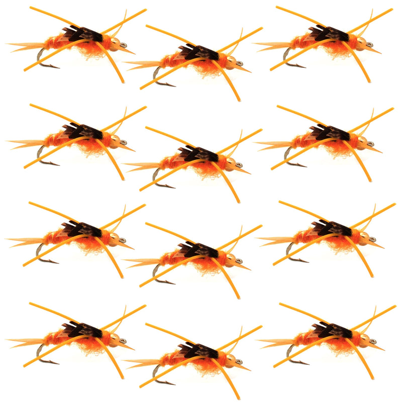 Gold bead Kaufmann's Golden Stone Fly Nymph wet flies with rubber legs, size 10, set of 12 for trout fishing.