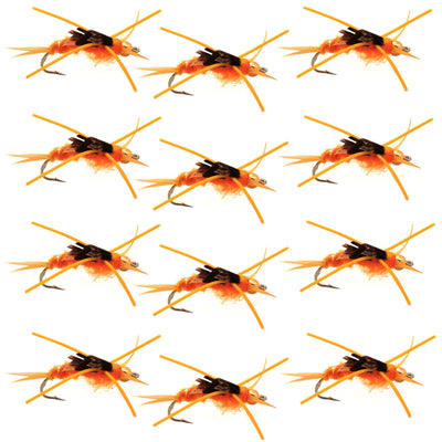 Set of 12 Kaufmann's Golden Stonefly Nymph wet flies with tungsten beads, hook size 8, designed for trout fishing.