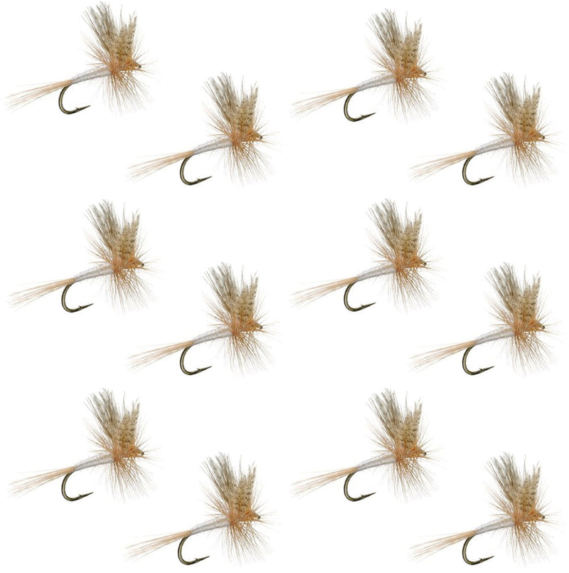 Set of 12 Light Cahill Classic Trout Dry Flies in size 12, premium fishing flies for trout fishing by The Fly Fishing Place