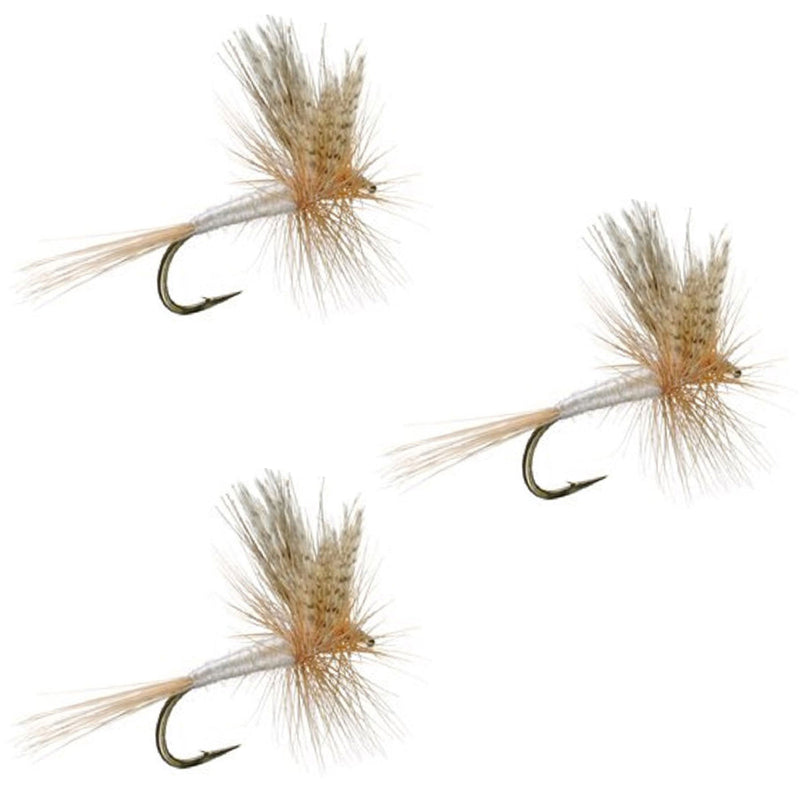 Three Light Cahill Classic Trout Dry Flies with hooks size 16, designed for trout fishing, by The Fly Fishing Place.
