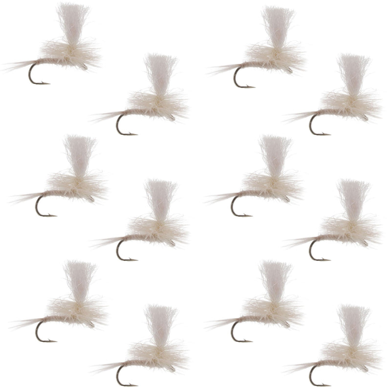Set of 12 Light Cahill Parachute Dry Flies for trout fishing, size 14, by The Fly Fishing Place.