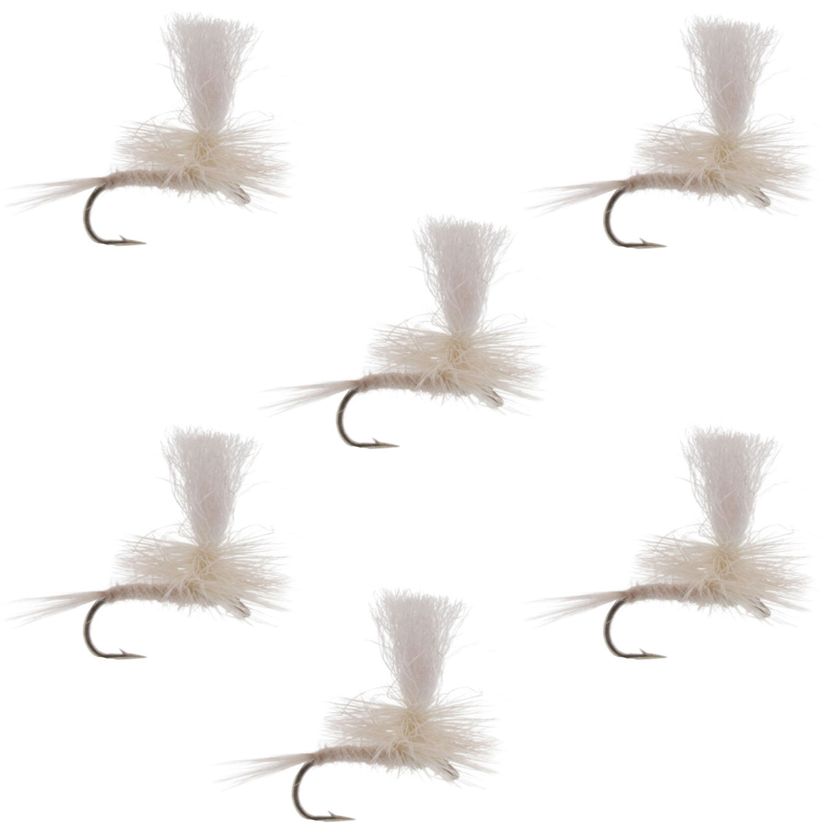 Set of six Light Cahill Parachute Dry Flies for trout fishing, size 16, by The Fly Fishing Place, with detailed fly patterns and hooks.