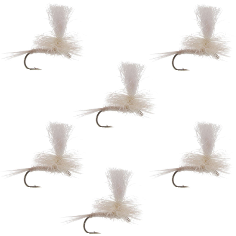 Set of six Light Cahill Parachute Dry Flies for trout fishing, size 16, by The Fly Fishing Place, with detailed fly patterns and hooks.