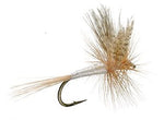 Three Light Cahill Classic Trout Dry Flies with size 12 hooks, designed for trout fishing, by The Fly Fishing Place.