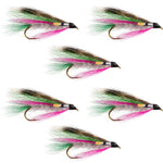Set of six Little Rainbow Trout Classic Streamer Flies for fly fishing, size 4, featuring colorful trout wet flies by The Fly Fishing Place.