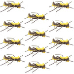 Set of 12 yellow Mantis BLT Foam Body Grasshopper dry flies for trout fishing, size 10 hooks, by The Fly Fishing Place.