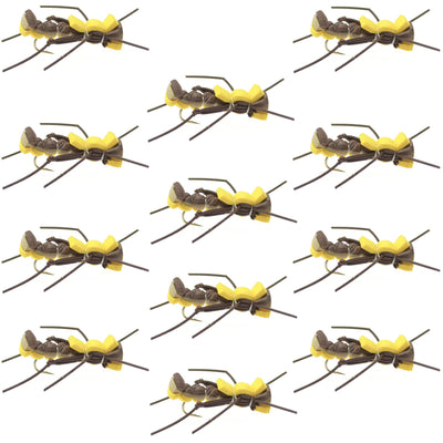 Set of 12 yellow Mantis BLT Foam Body Grasshopper dry flies for trout fishing, size 10 hooks, by The Fly Fishing Place.